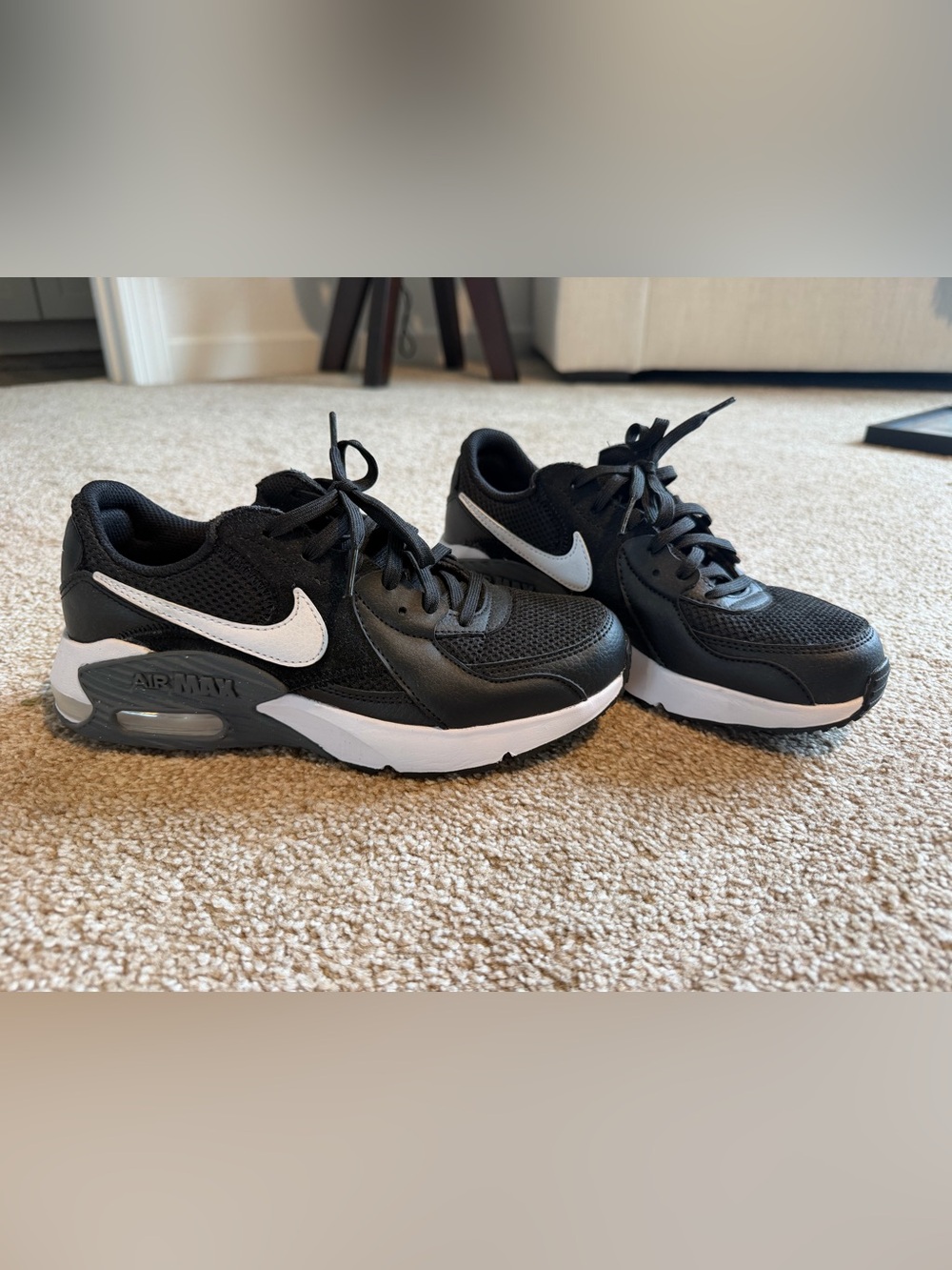 Nike Black & White Nike Air Max Shoes